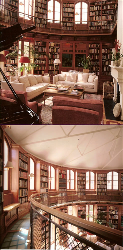 Stunning Introvert Dream Libraries     LonerWolf