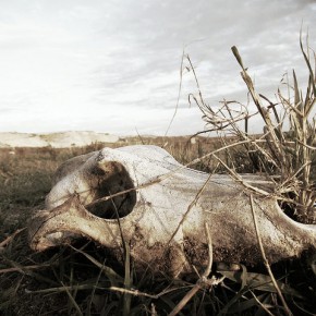Death and Life