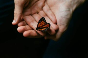 19 Signs You’re a Highly Sensitive Person (+ How to Survive and Thrive)