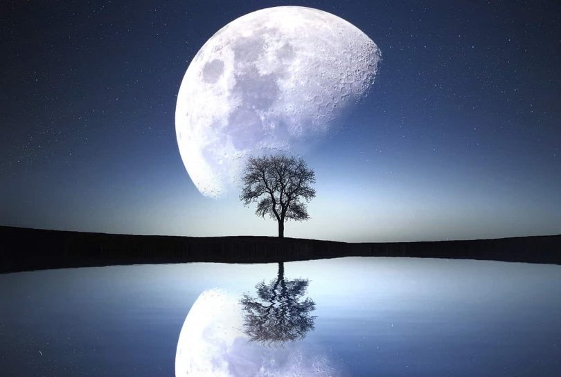 Image of a tree, lake, and moon symbolizing psycho-spirituality