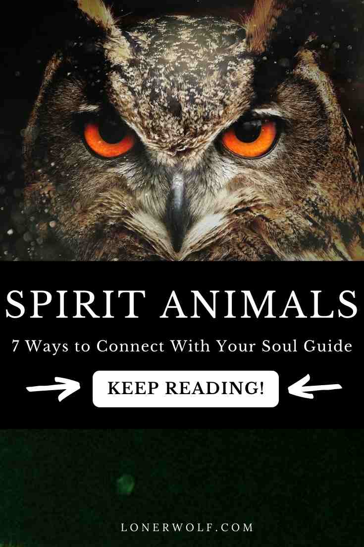 7 Ways to Connect With Your Spirit Animal