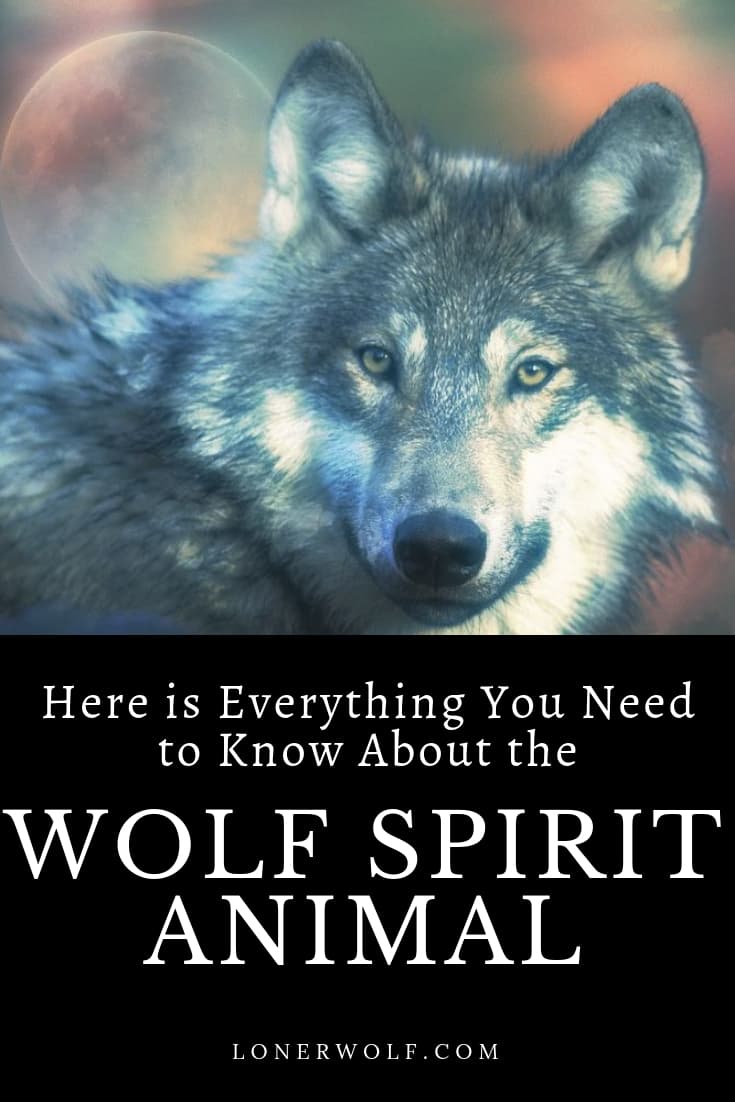 Wolf Spirit Animal (Meaning Explained)