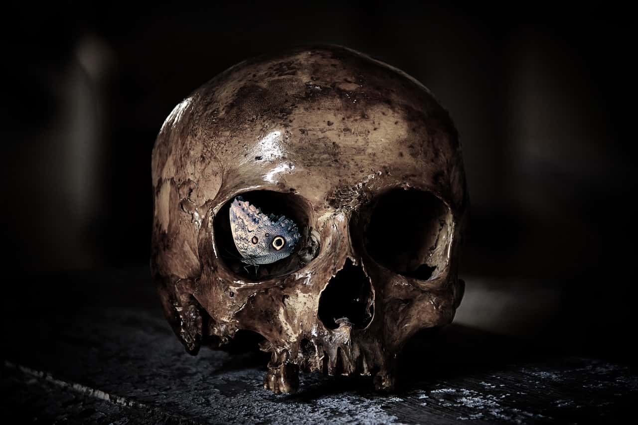 image of a skull representing the shadow self