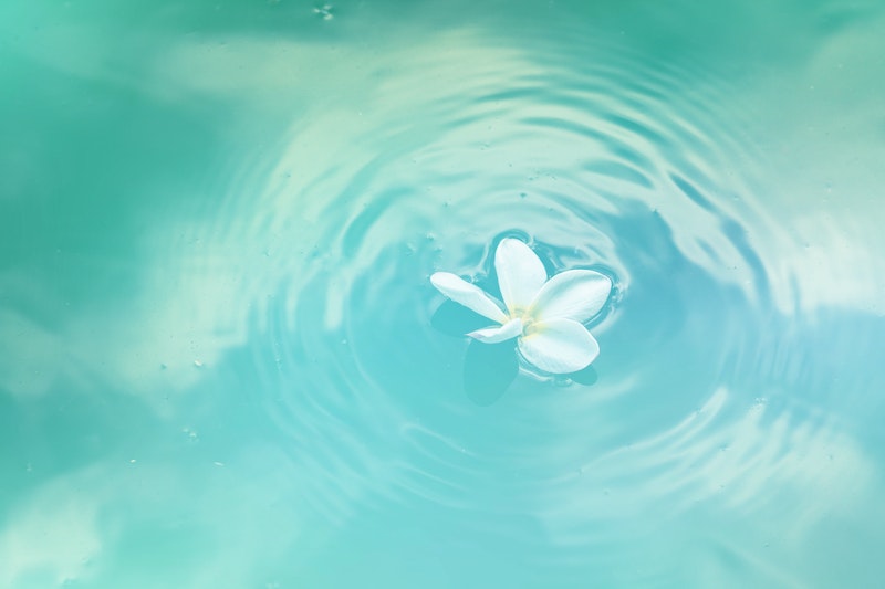 Image of a flower on blue water