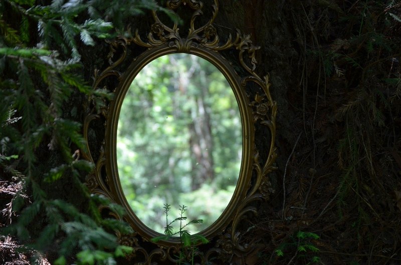 Image of a mirror in nature