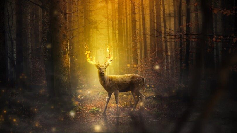 Image of a deer with burning horns representing a sign and omen