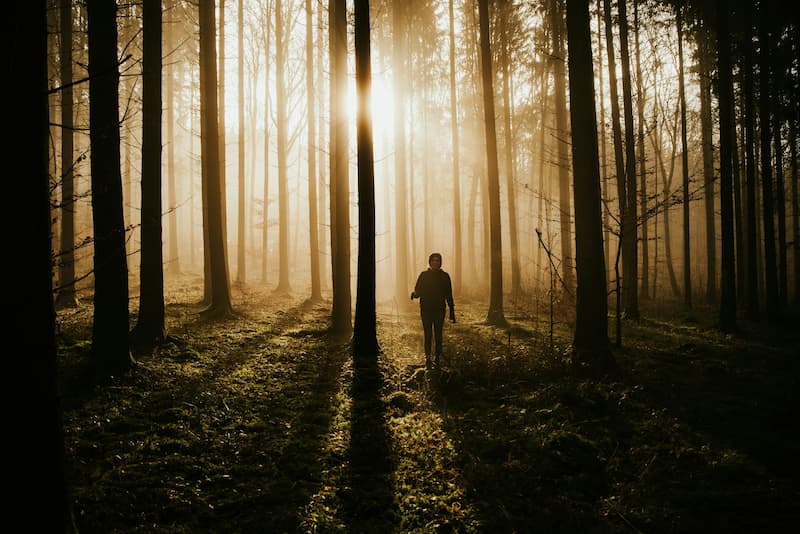 Image of a person in a forest practicing the first pillar of soul work: grounding