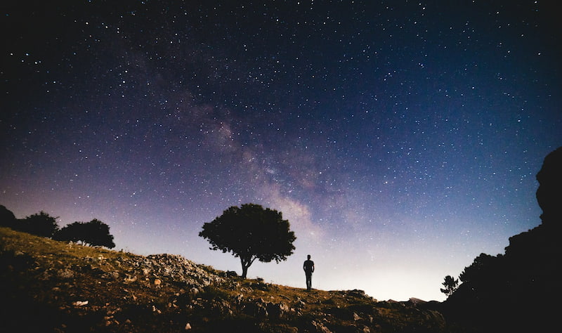 Image of a person and a tree under the starry sky symbolizing soul recovery