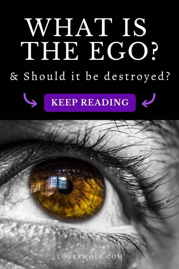 What is the Ego? Should it Be Destroyed?