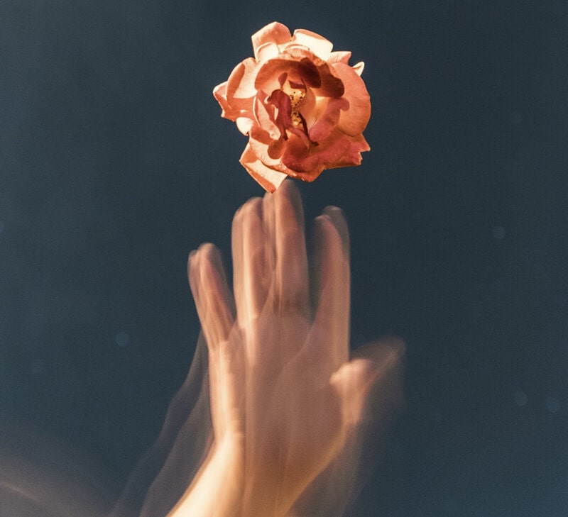  Image d'une personne touchant une rose rose et absorbant son énergie