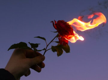 What is a Twin Flame & 7 Reasons It Can Be a Toxic Idea