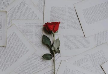 Image of a rose for the love style quiz