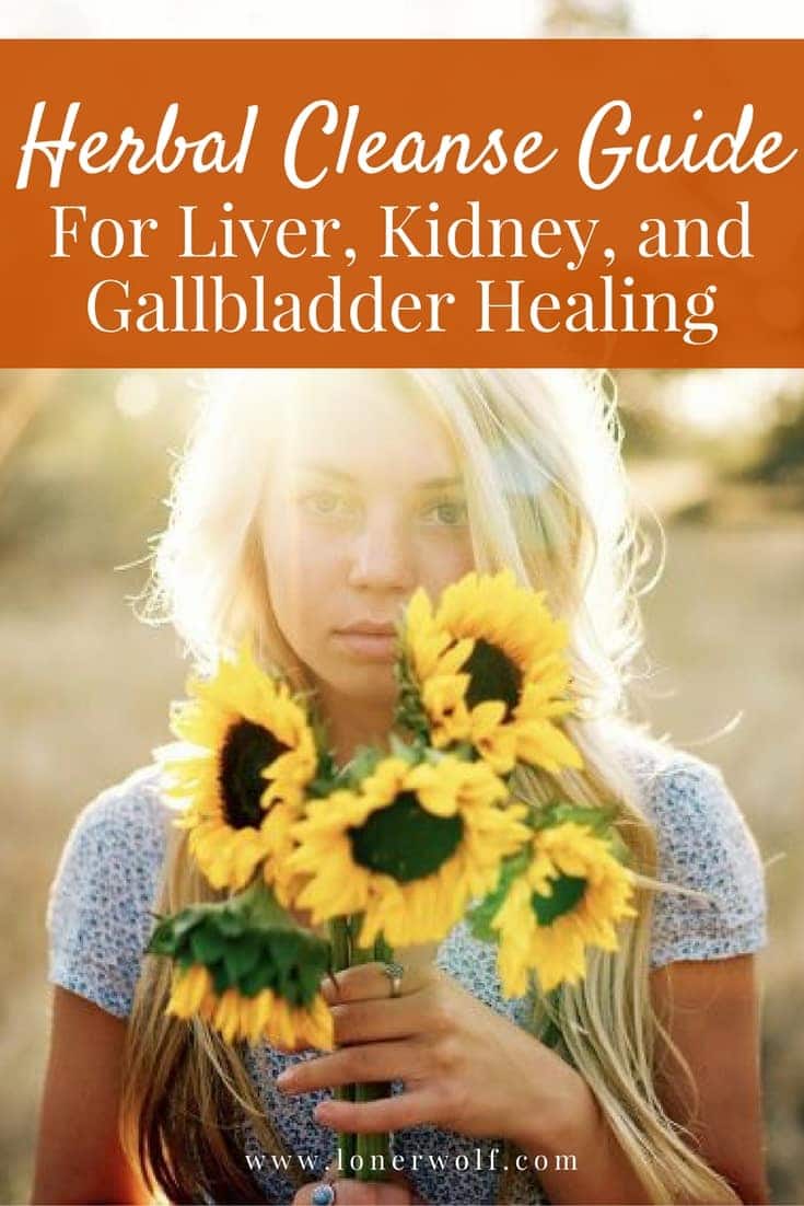 Herbal Cleanse Guide For Liver, Kidney, and Gallbladder Healing ⋆ LonerWolf