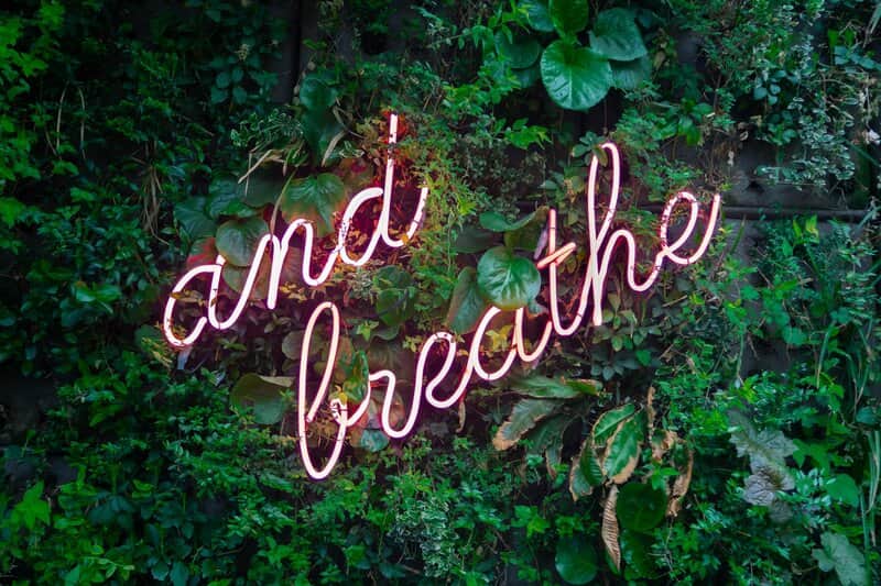 Image of a neon sign that says 'And Breathe'