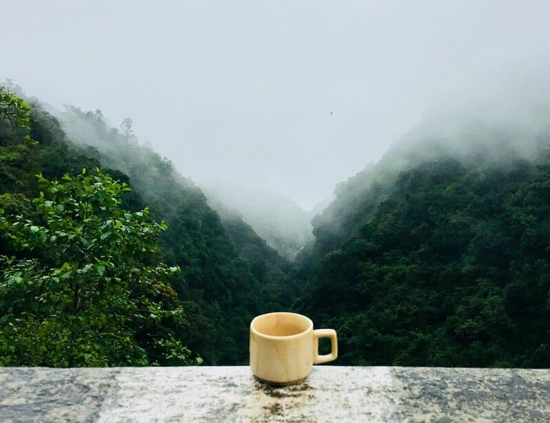 Image of a cup in front of a misty valley