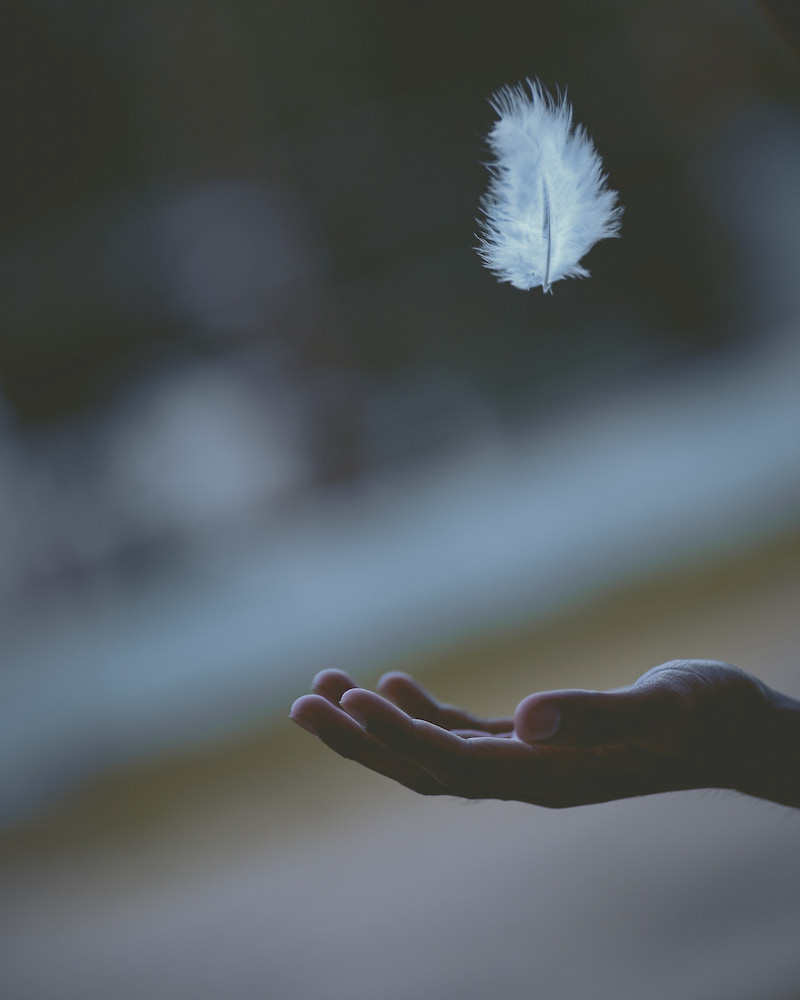 Image of a person letting go of a feather