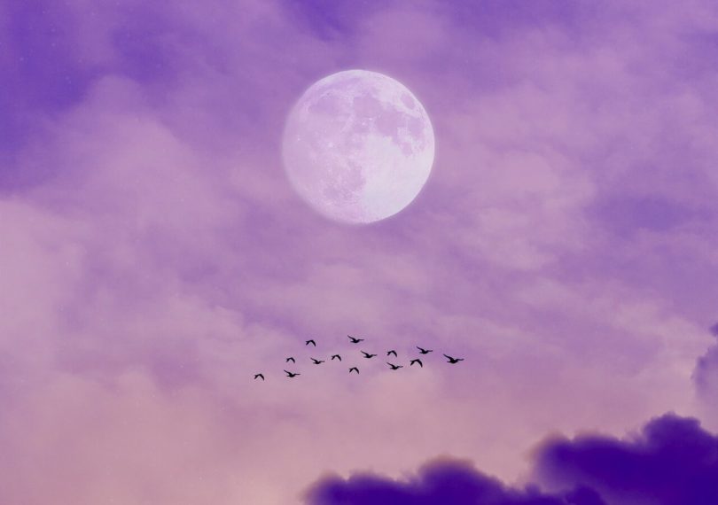 Image of a moon in a purple sky