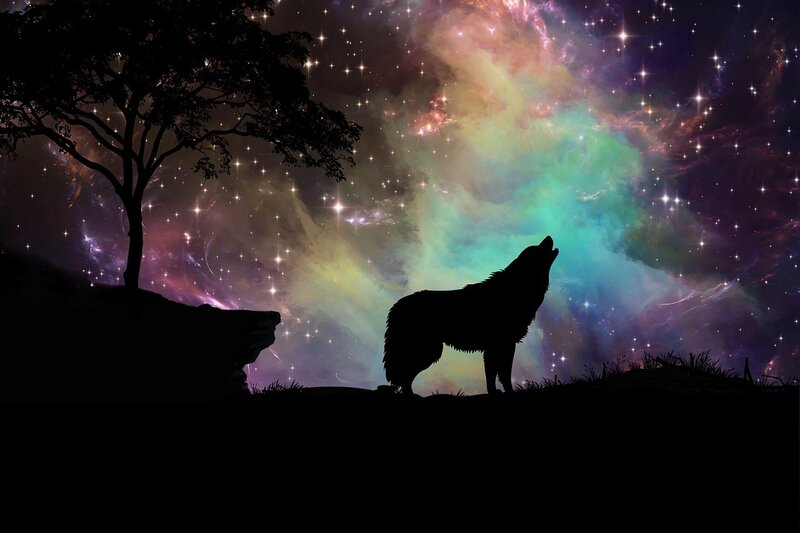 native american wolf totem meaning