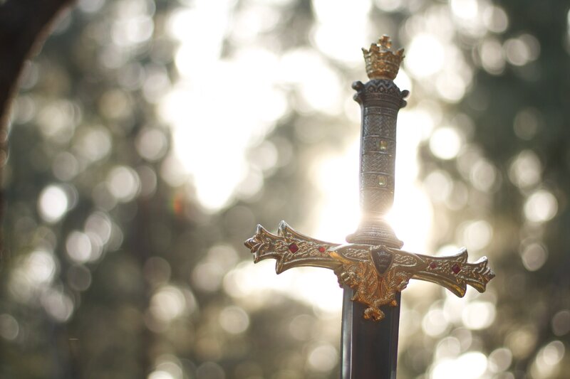 Image of a sword in the forest symbolic of discernment