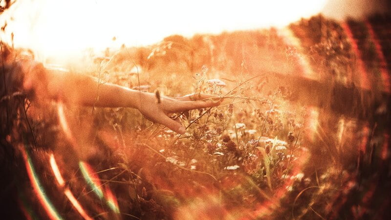 Image of a woman touching some flowers in a whimsical field