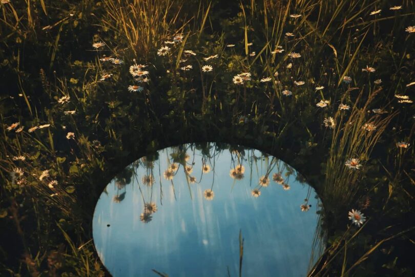 Image of a mirror reflecting flowers symbolic of mirror work