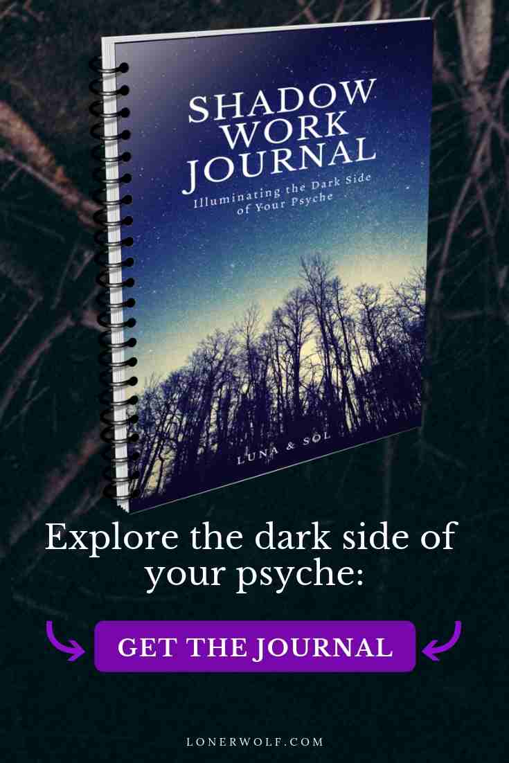 into the wild shadow work journal reclaim your wholeness