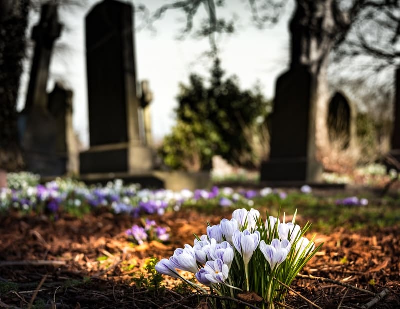 Image of a graveyard and flowers