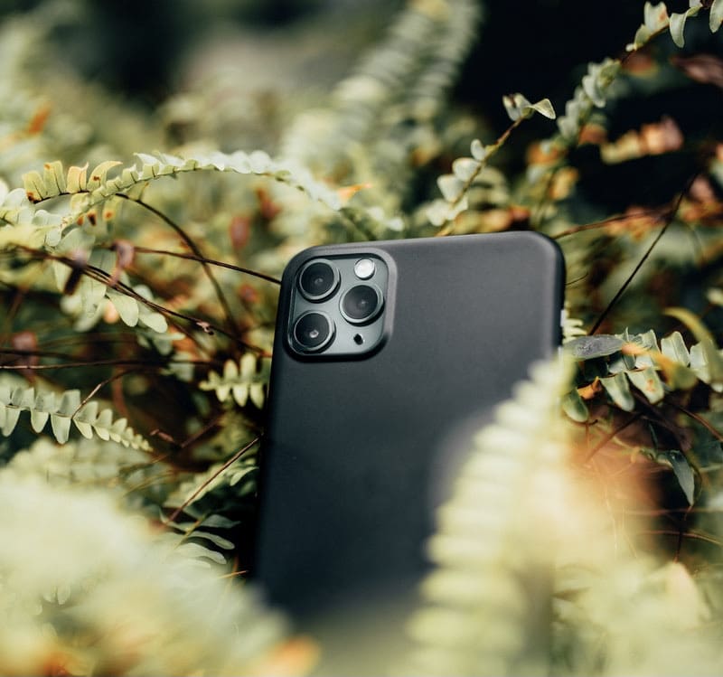 Image of a phone in nature