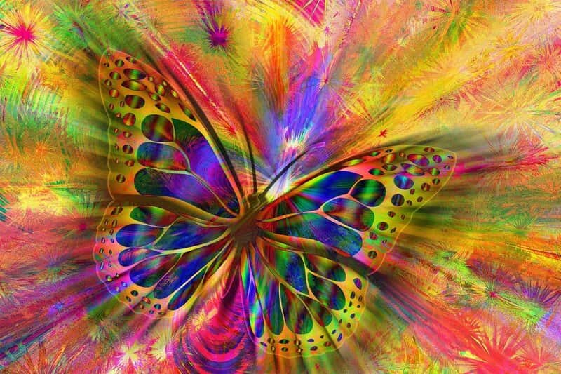 Image of a butterfly that represents synchronicity