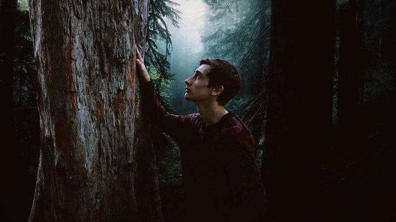 Image of a guy in the forest feeling lost