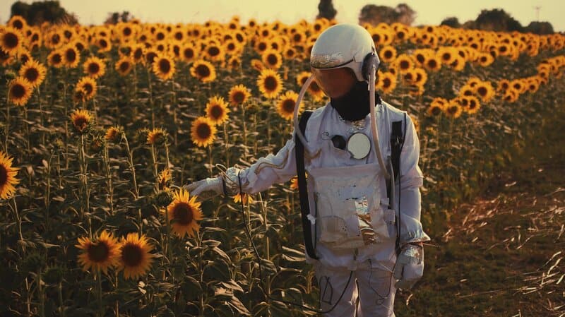 Image of an astronaut in a field of sunflowers