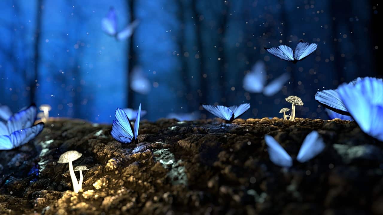 Image of blue butterflies in a lucid dream