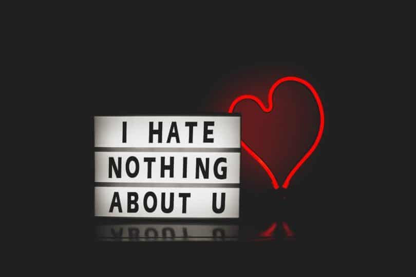 Image of a sign that says I hate nothing about you