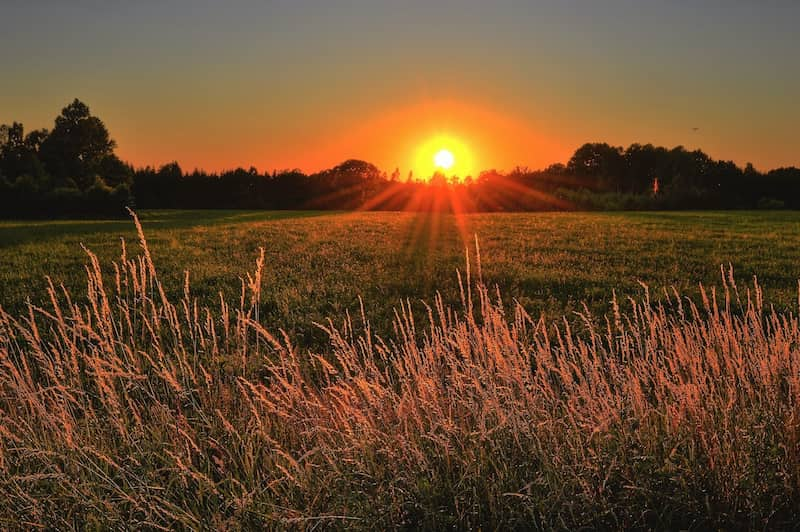 Image of the sun that represents self-realization