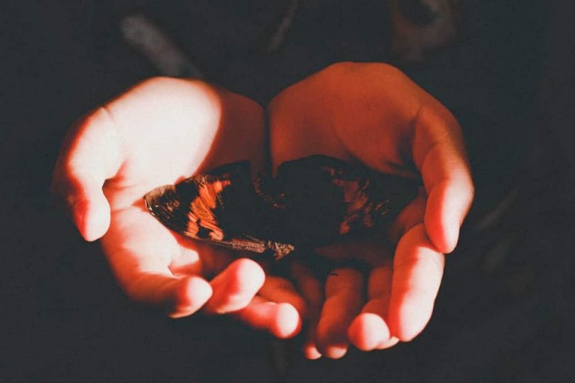 Image of hands holding a butterfly symbolic of the soul