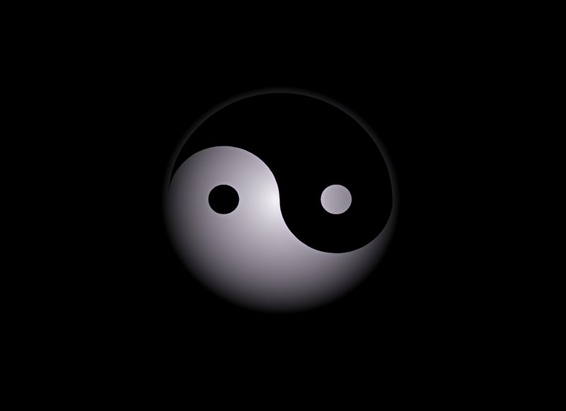 Image of a yin yang symbol representing the anima and animus