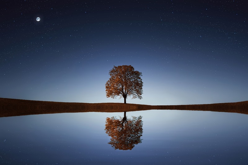 Image of a mystical tree symbolic of the spiritual journey