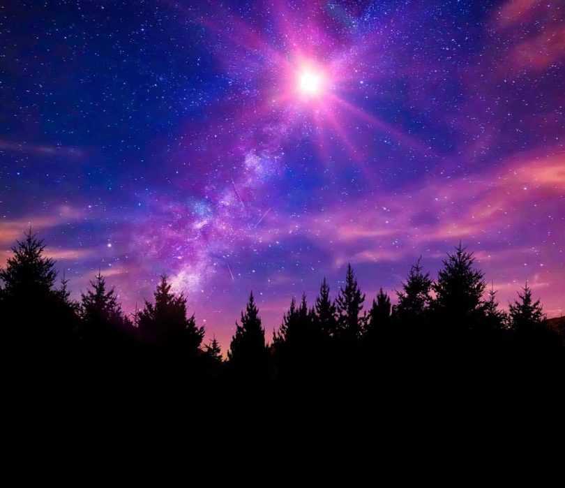 Image of a forest and the colorful night sky