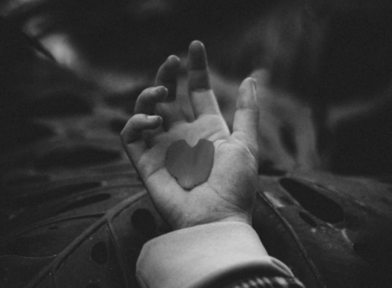 Image of a person holding a petal in their hand