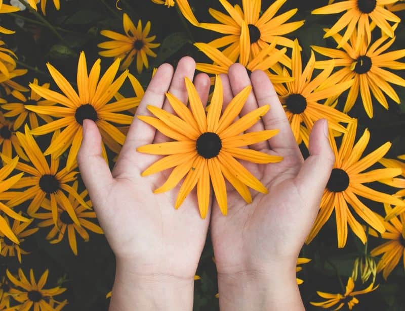 Image of a person holding yellow flowers