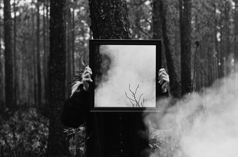 Image of a person holding up a mirror in a forest