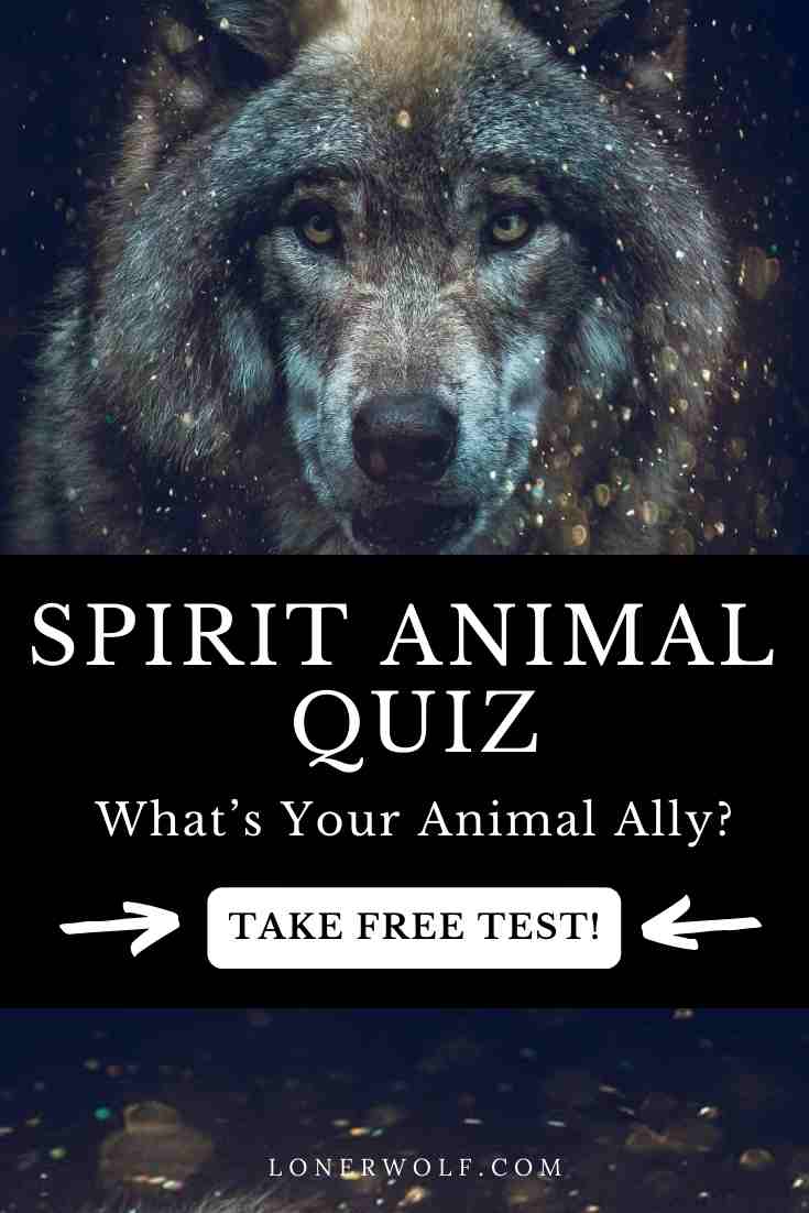 Spirit Animal Quiz: What’s Your Animal Ally?