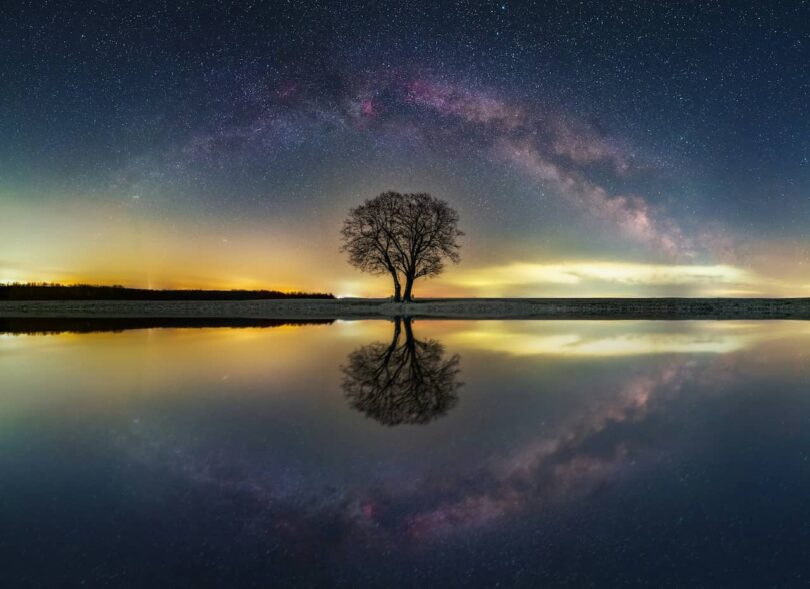 Image of a tree and the cosmos symbolic of ensoulment