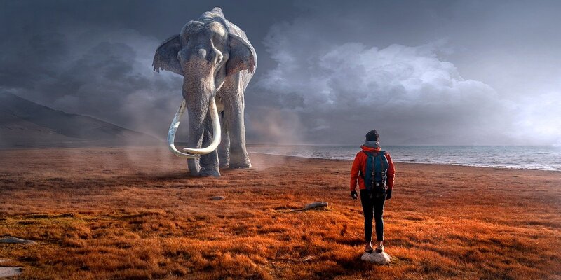 Image of a person approaching a giant mammoth in a dream