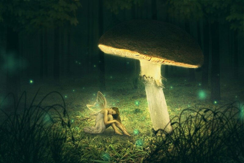 Image of a fairy underneath a mushroom