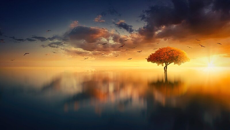 Image of a dream-like landscape with a tree in the middle of the ocean