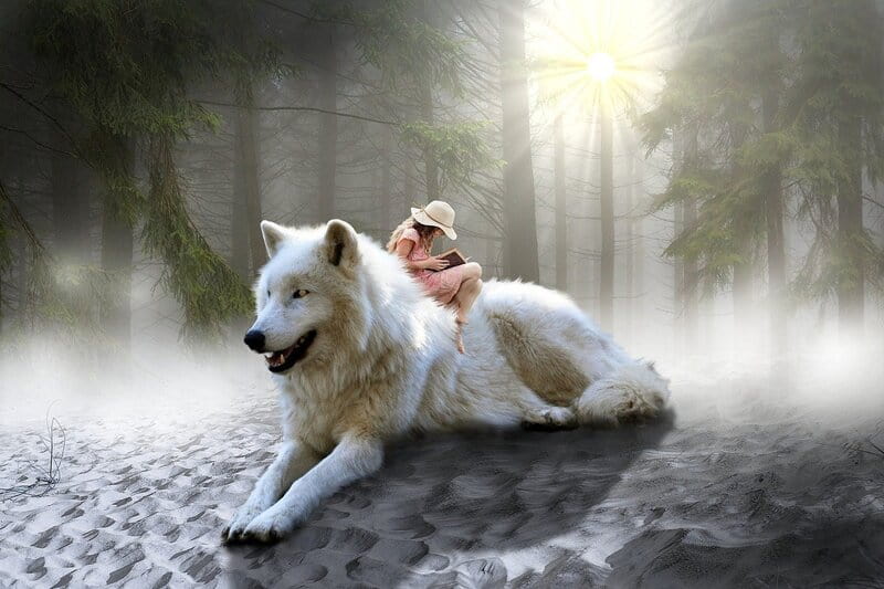 Image of a girl sitting on top of a giant spirit wolf