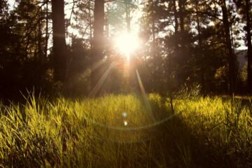 Meditation Techniques for the Soul: 12 Paths to Inner Awakening