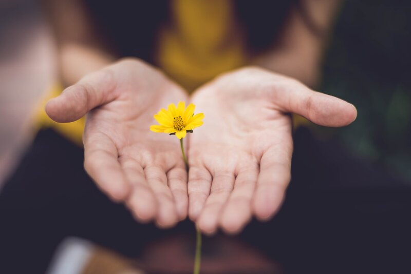 Image of a woman holding a yellow daisy