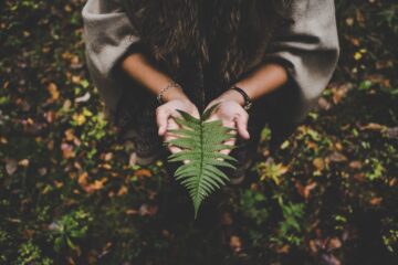 Deep Self-Healing (on a Budget) 9+ Tips!